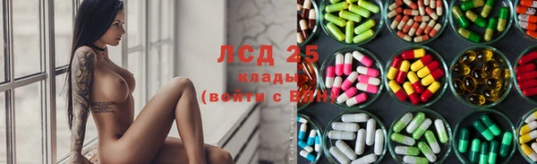 гашик Белокуриха