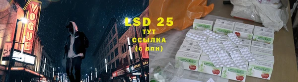 гашик Белокуриха