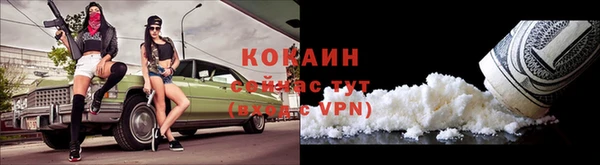 сатива Кирс