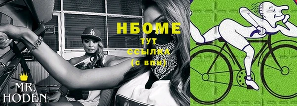 гашик Белокуриха