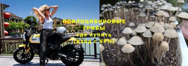 гашик Белокуриха