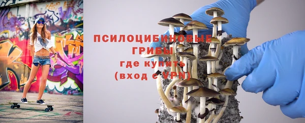 гашик Белокуриха