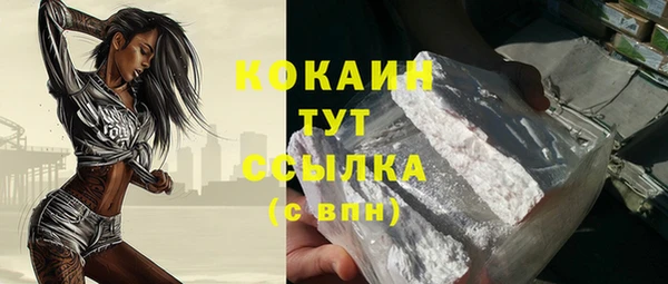 гидра Киселёвск