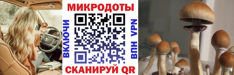 даркнет сайт Ярцево Галлюциногенные грибы ЛСД